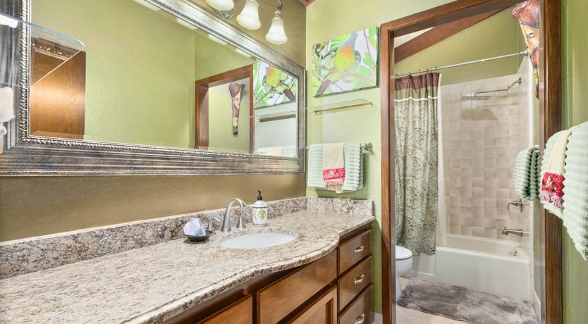 Photo of Redwood & Palm