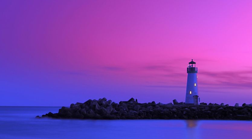 Photo of Redwood & Palm