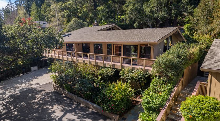 Photo of Redwood & Palm