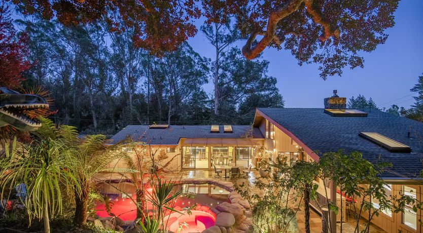 Photo of Redwood & Palm