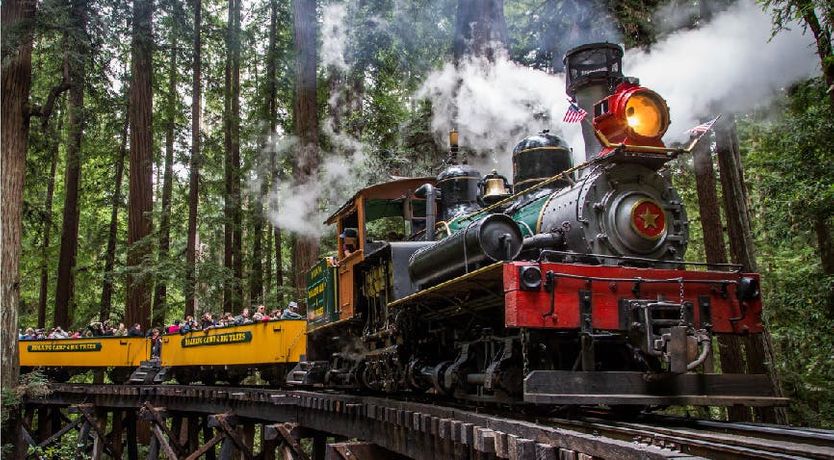 Photo of Redwood & Palm