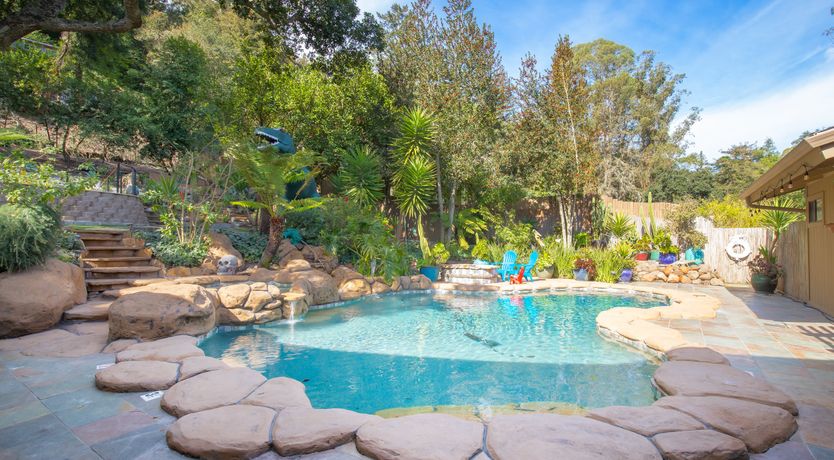 Photo of Redwood & Palm