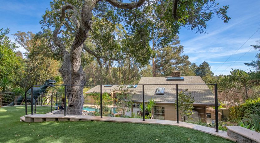 Photo of Redwood & Palm