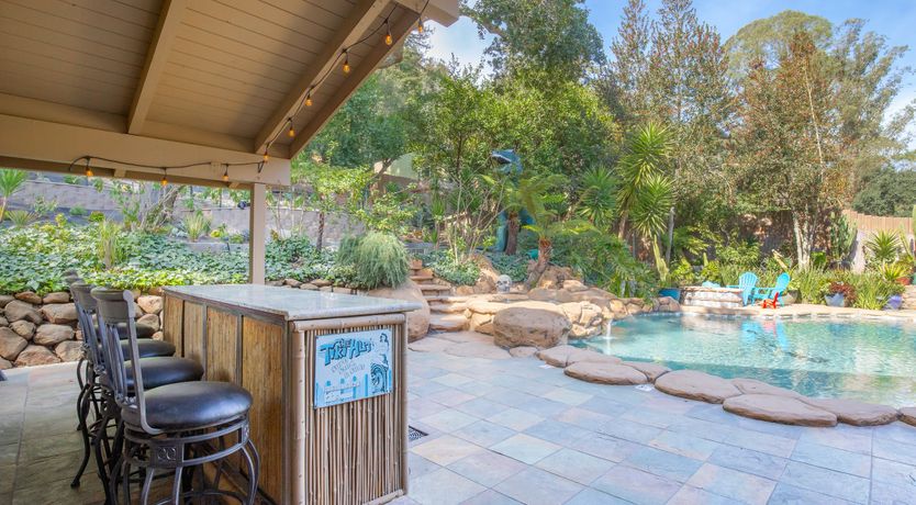 Photo of Redwood & Palm