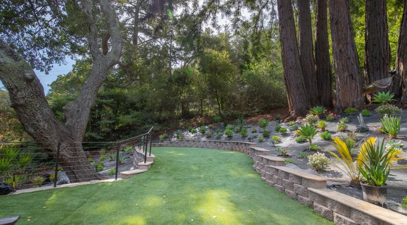 Photo of Redwood & Palm