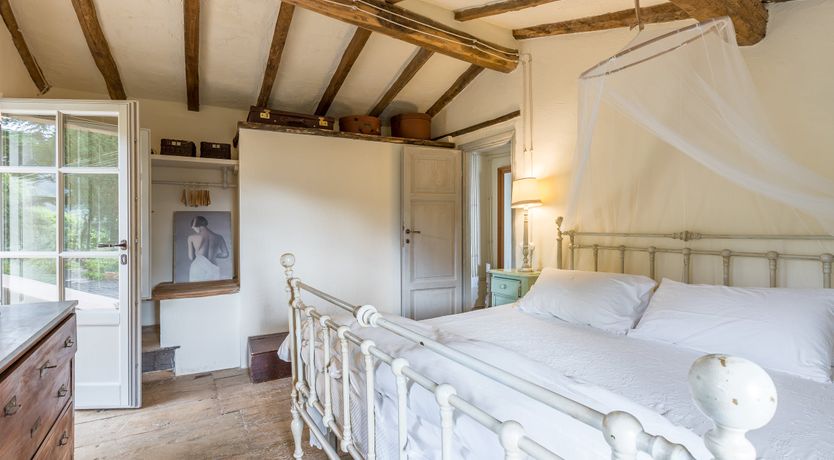 Photo of Under The Olive Tree