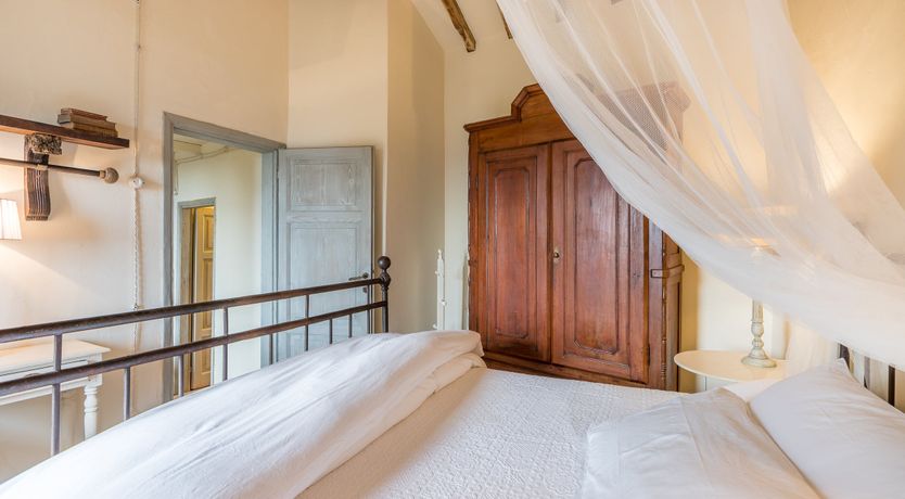 Photo of Under The Olive Tree