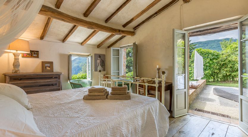 Photo of Under The Olive Tree