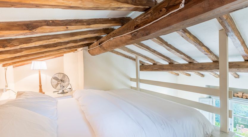 Photo of Under The Olive Tree