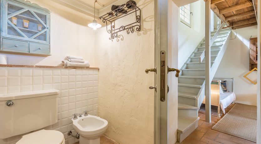 Photo of Under The Olive Tree