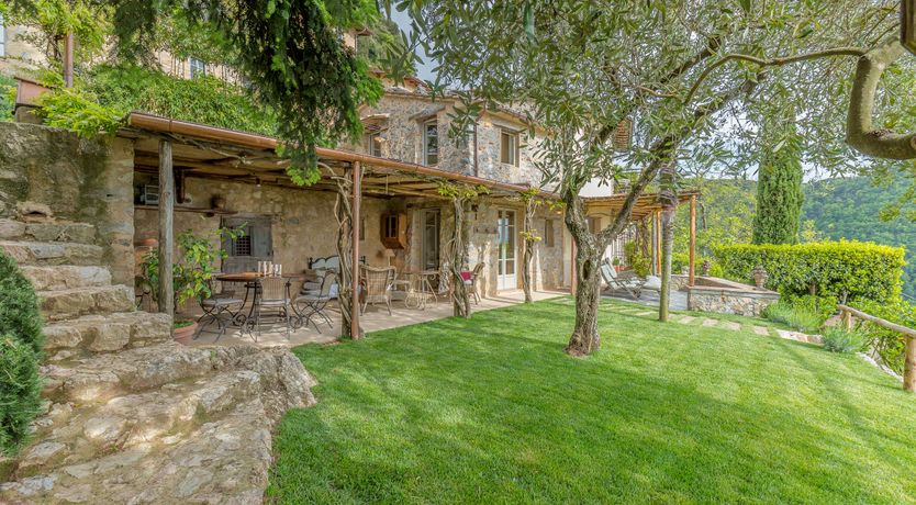 Photo of Under The Olive Tree