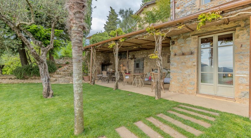 Photo of Under The Olive Tree