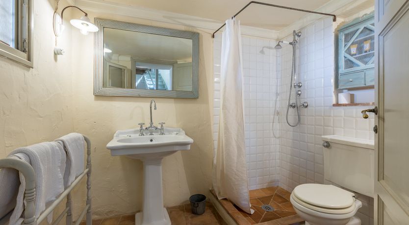 Photo of Under The Olive Tree