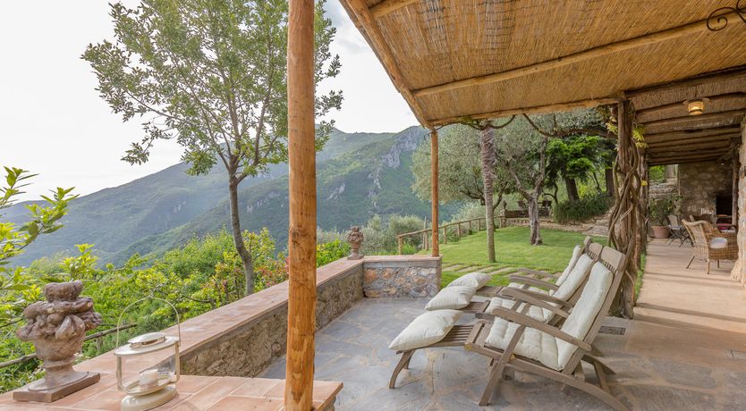 Photo of Under The Olive Tree