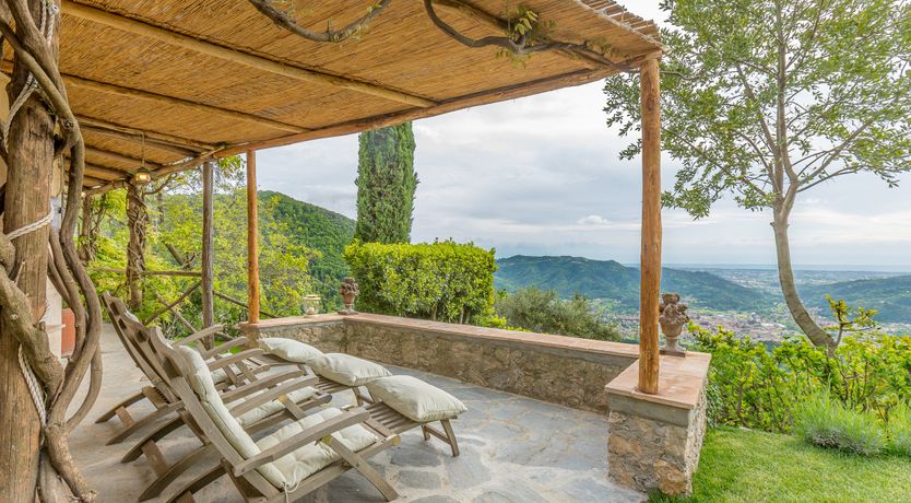 Photo of Under The Olive Tree