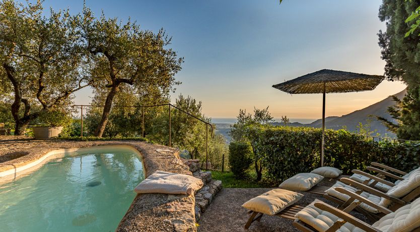 Photo of Under The Olive Tree