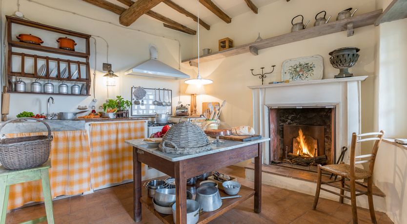 Photo of Under The Olive Tree