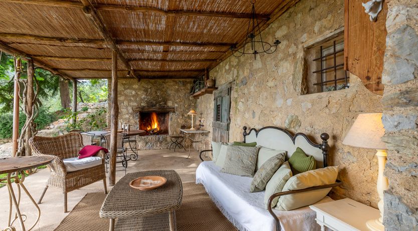 Photo of Under The Olive Tree