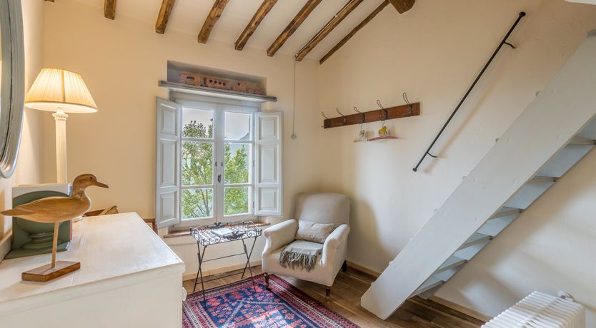 Photo of Under The Olive Tree