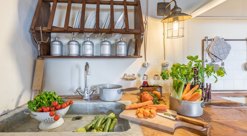 Photo of Under The Olive Tree