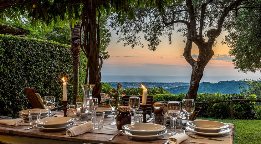 Photo of Under The Olive Tree