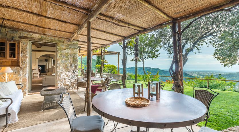 Photo of Under The Olive Tree