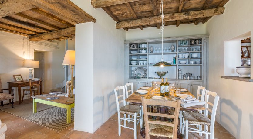 Photo of Under The Olive Tree