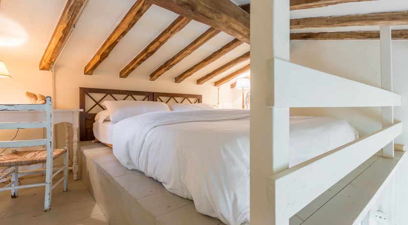 Photo of Under The Olive Tree