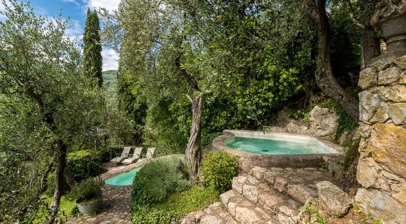 Photo of Under The Olive Tree