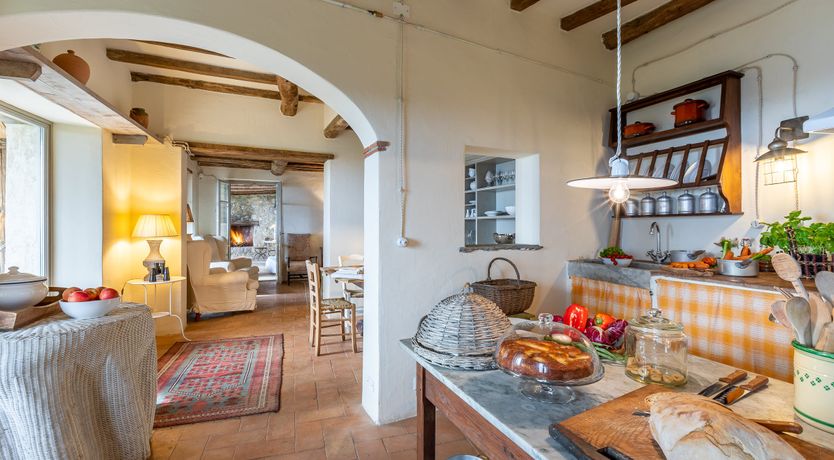 Photo of Under The Olive Tree