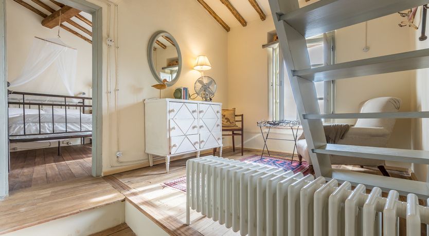 Photo of Under The Olive Tree