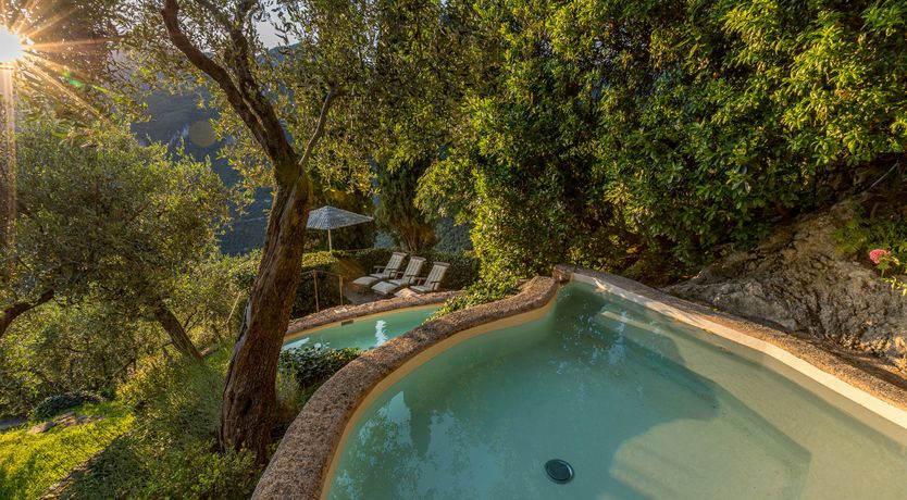 Photo of Under The Olive Tree