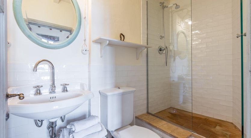 Photo of Under The Olive Tree