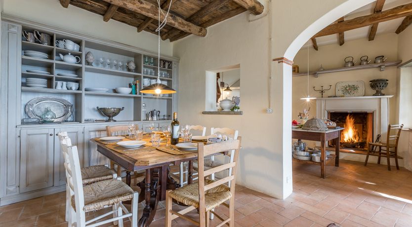 Photo of Under The Olive Tree