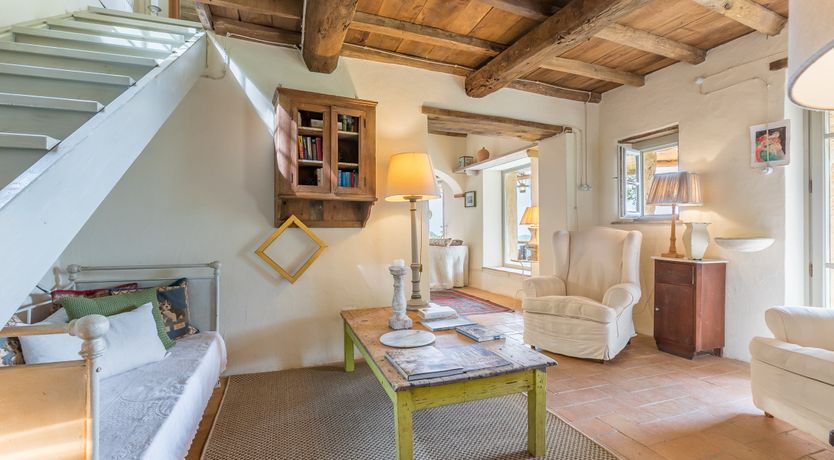 Photo of Under The Olive Tree