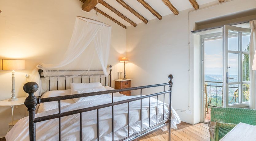 Photo of Under The Olive Tree