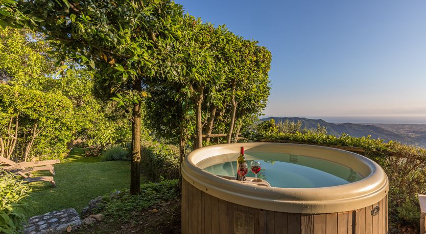 Photo of Under The Olive Tree