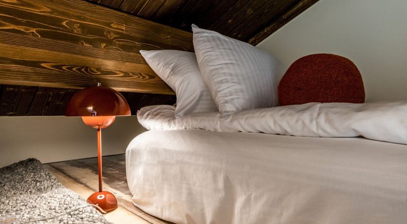 Photo of Alpine Pasqueflower