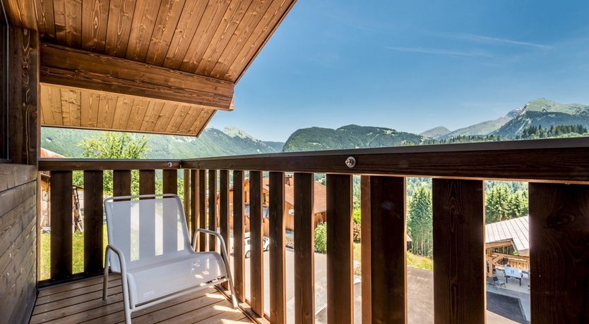 Photo of Alpine Pasqueflower