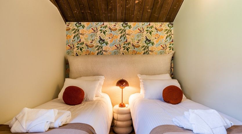 Photo of Alpine Pasqueflower