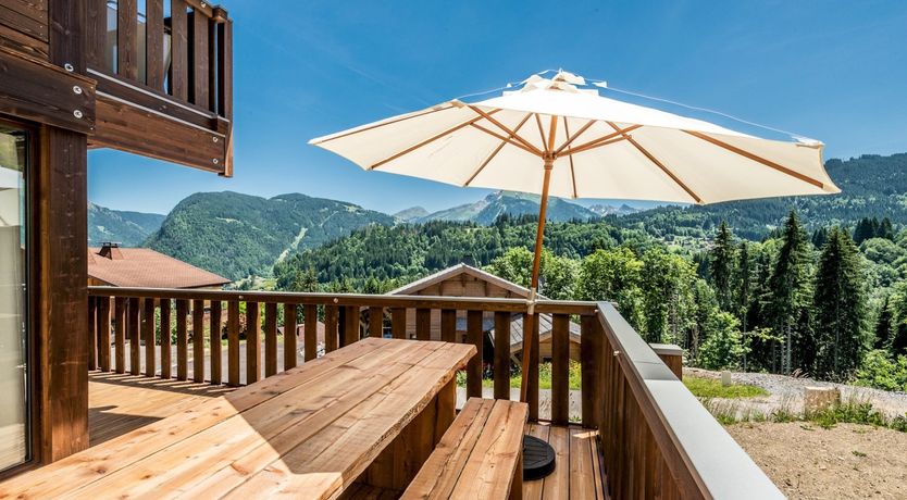 Photo of Alpine Pasqueflower