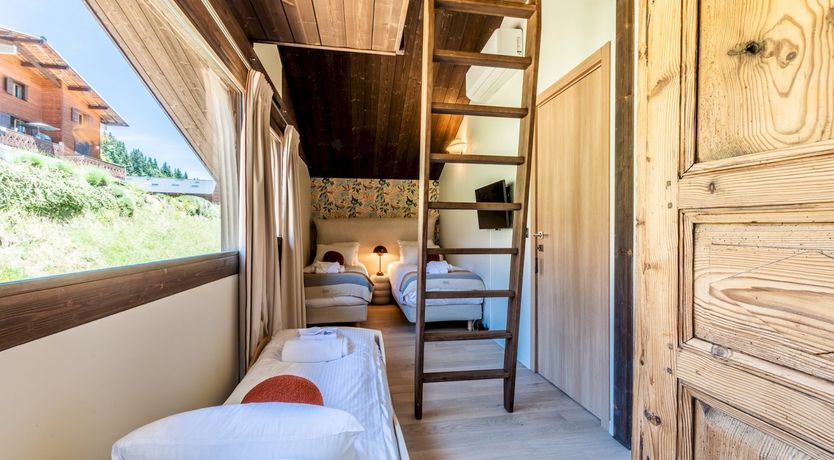 Photo of Alpine Pasqueflower