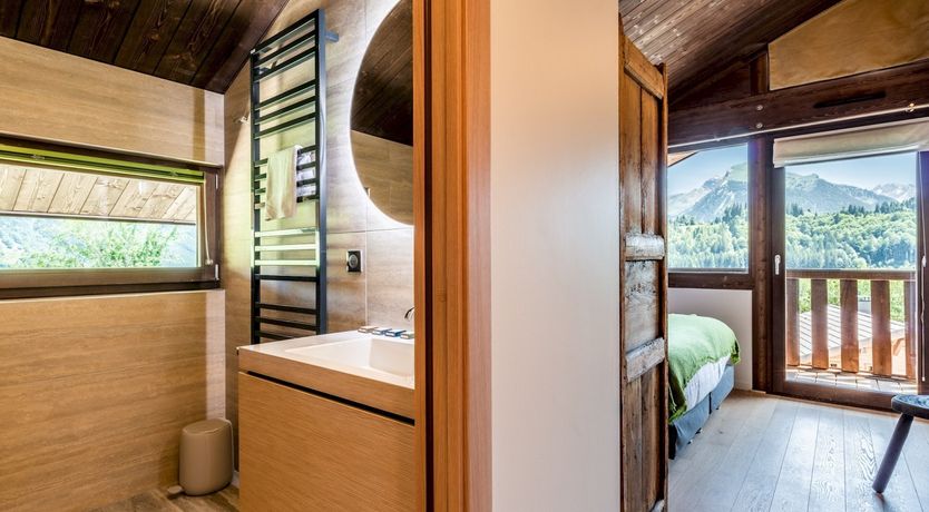 Photo of Alpine Pasqueflower