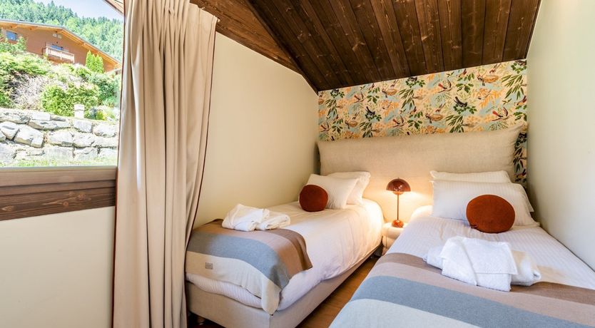 Photo of Alpine Pasqueflower