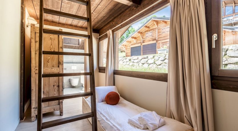 Photo of Alpine Pasqueflower