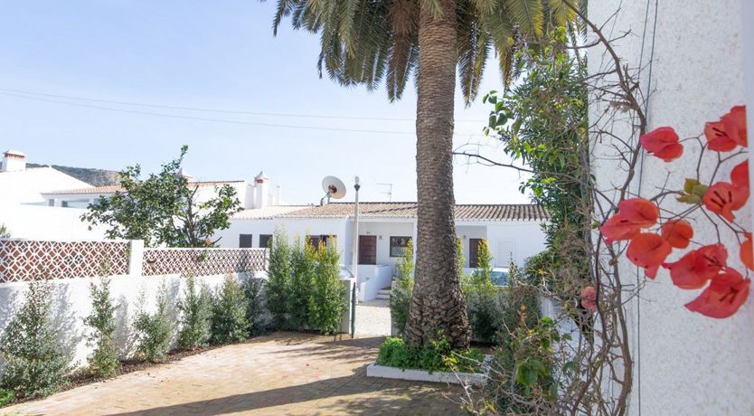 Photo of Golden Sunlight