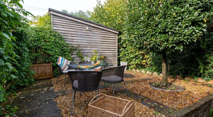 Photo of Baby Brother