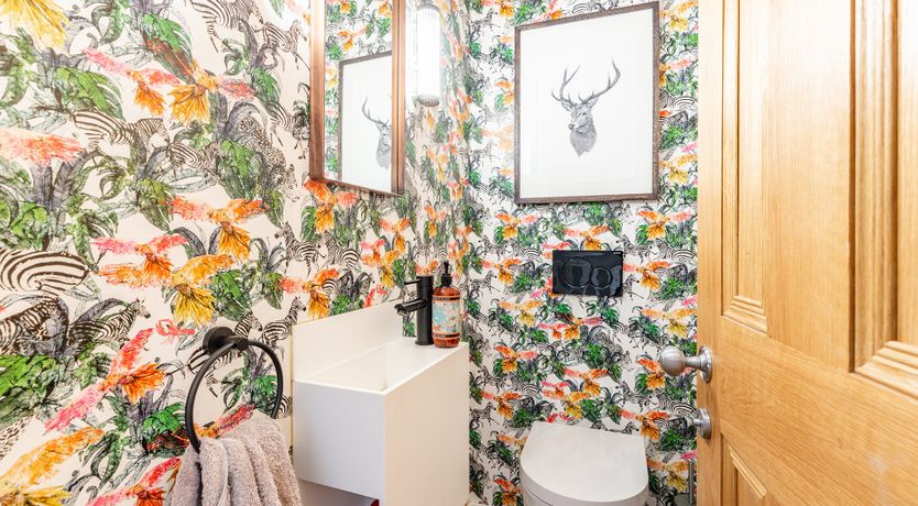 Photo of Pink Pampas Grass