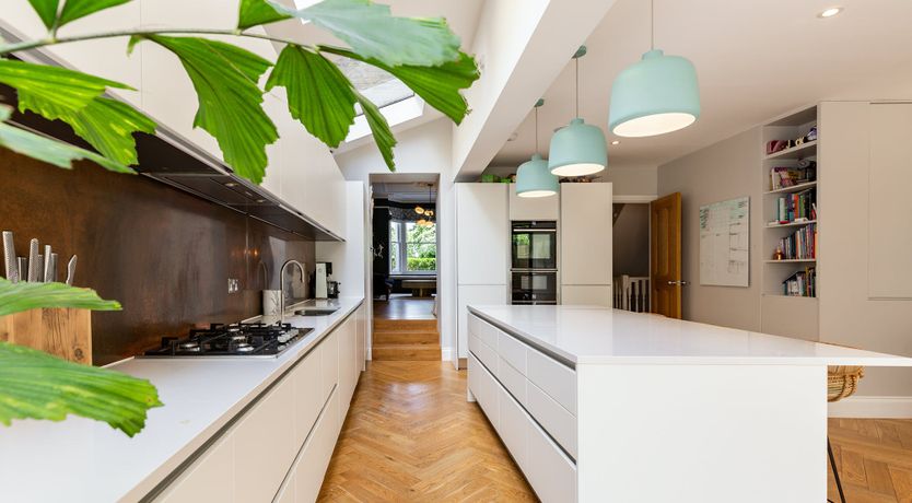 Photo of Pink Pampas Grass