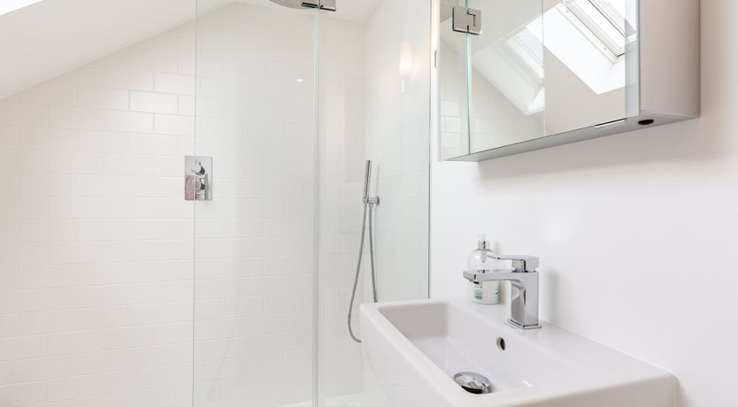 Photo of Pink Pampas Grass